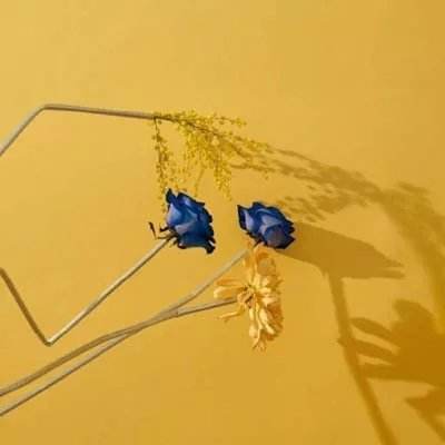 吉比特：2025年净利润同比增长89.82% 拟10派70元